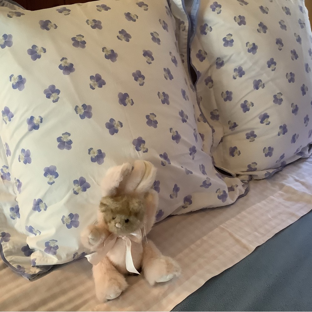 Yves dlorme European pillow shams set of 2